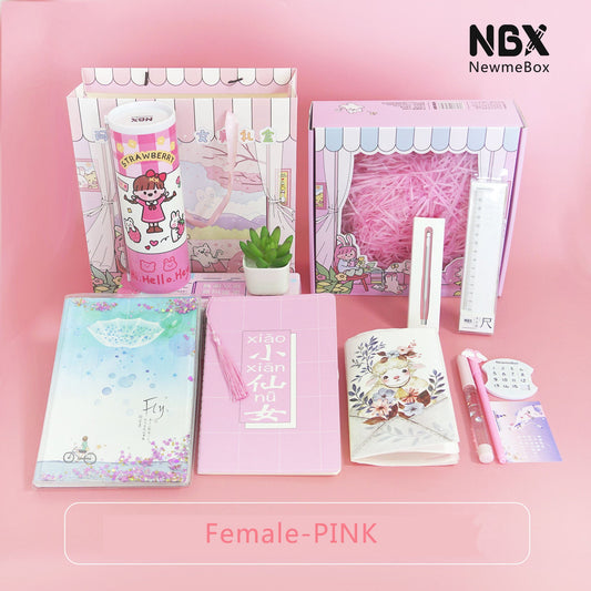 NBX Stationery Gift Box Pack